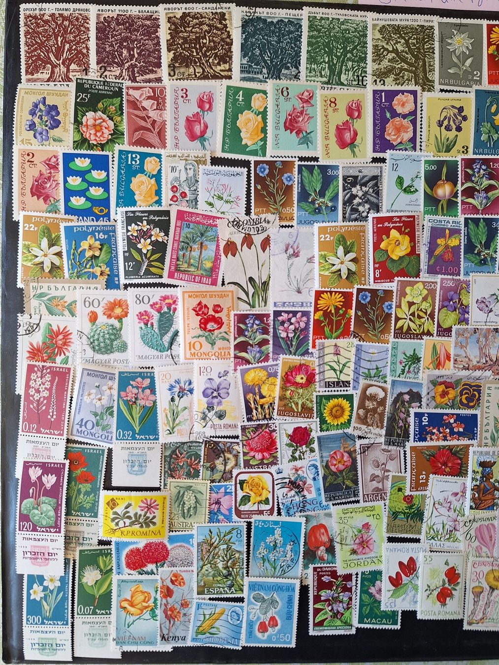 Tutti i francobolli: Grosse Blumen und Pflanzen-Sammlung – Usato da Genolier venduto da Antoine30 4