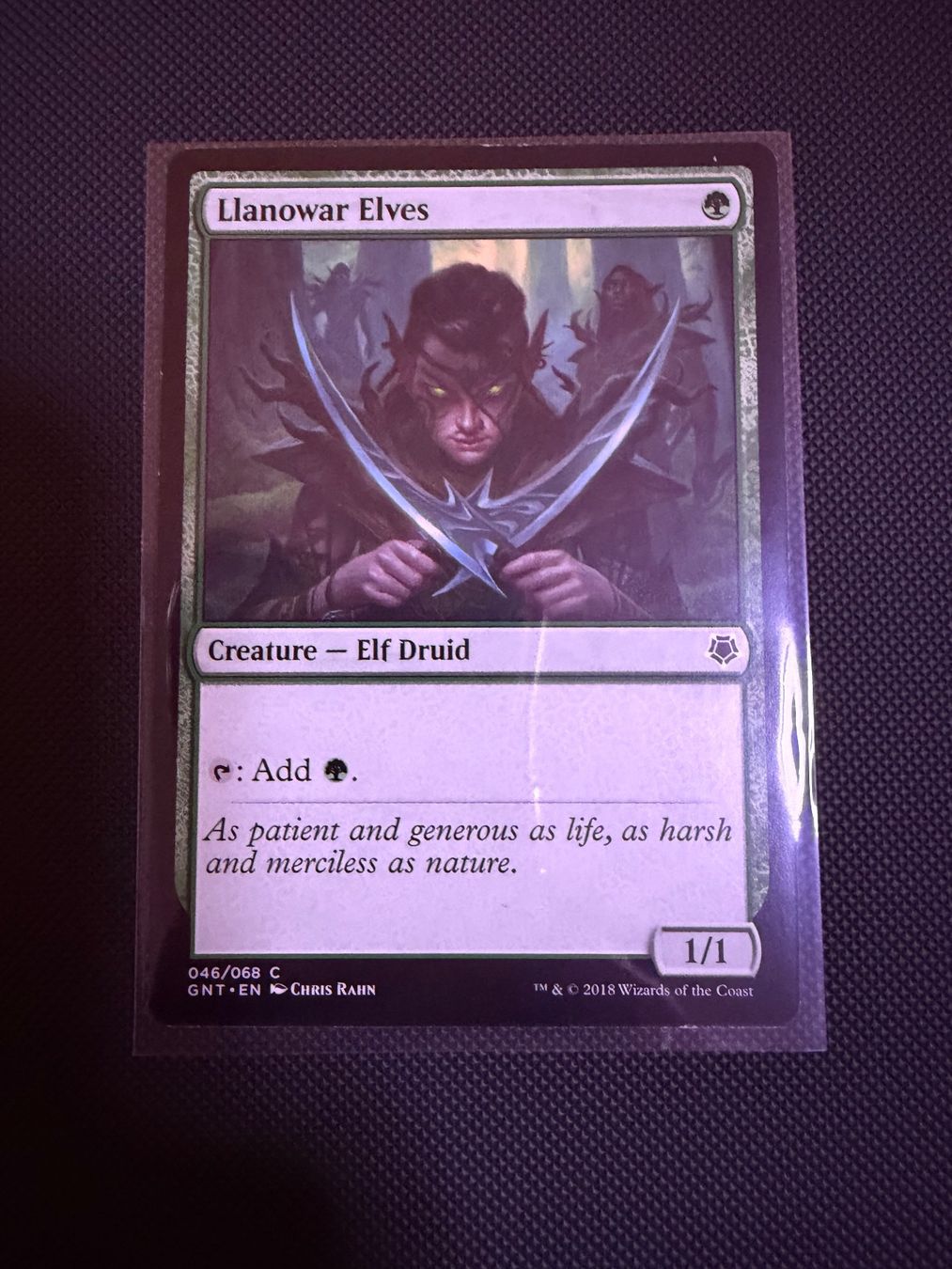 Magic The Gathering Carte collezionabili: Llanowar Elves – Usato da Ulisbach venduto da joelsj