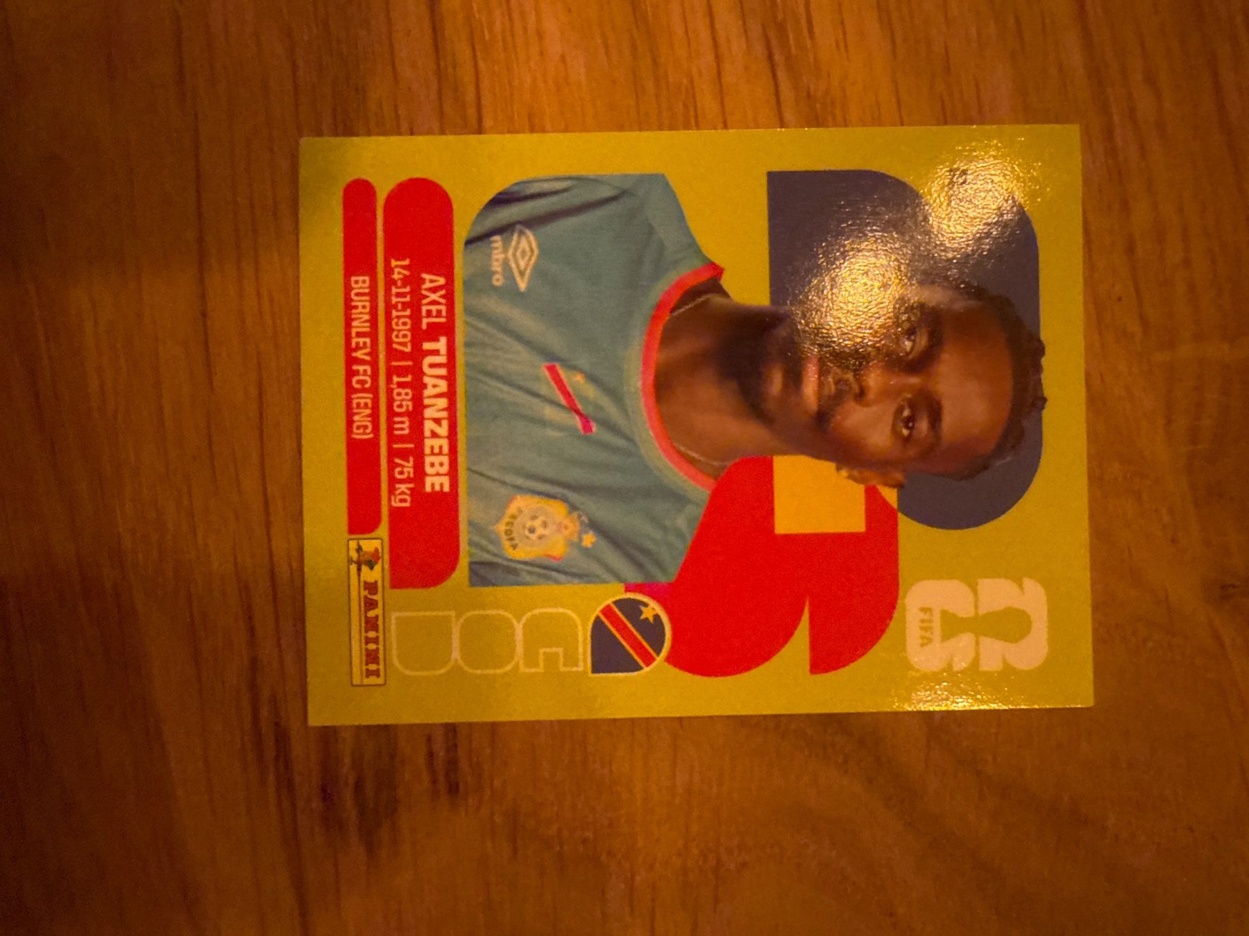 Panini Sammelbilder & Trading cards: Panini – Gebraucht aus Langnau i. E. von Acrjl