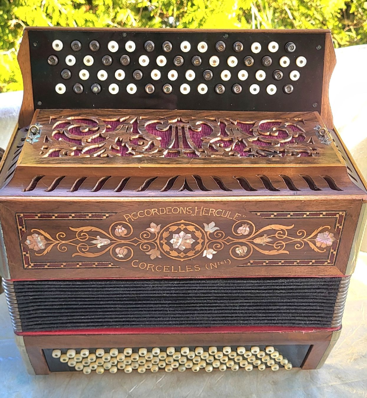 Strumenti musicali: accordéon Hercule suisse – Usato da Penthalaz venduto da EvandroLuz
