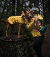 Hundedecke Regenmantel