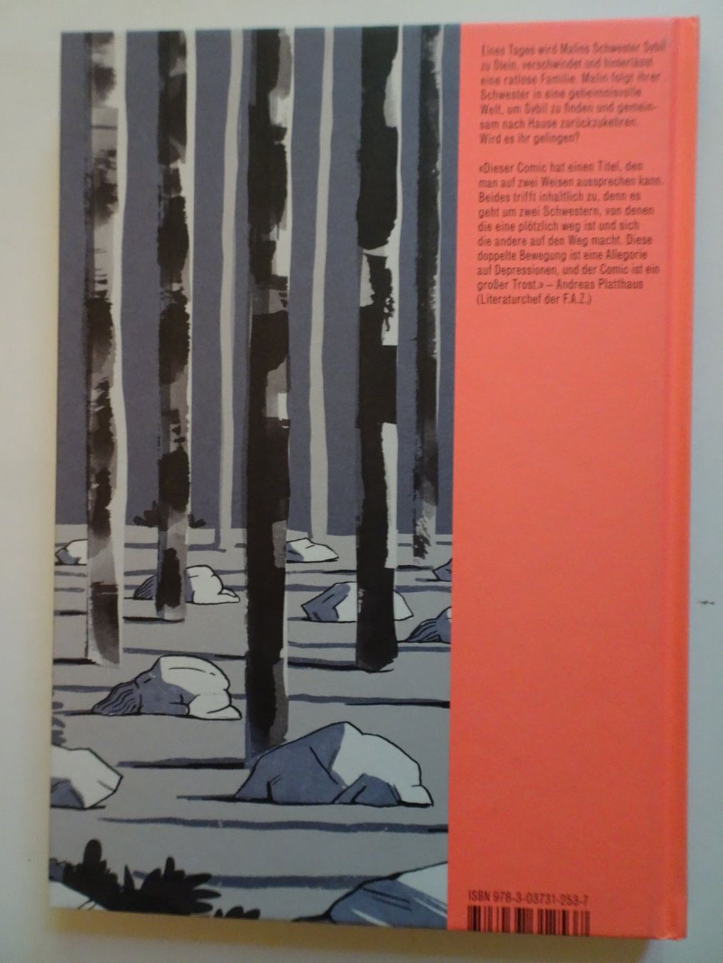 Fumetti: Comic "Weg" von Rina Jost Edition Moderne – Usato da Schönenwerd venduto da schnitzunddrunter 1