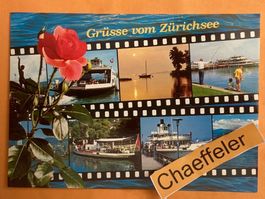 Grüsse vom Zürichsee