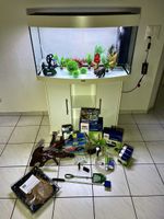 Aquarium Juwel Vision 180 – mit Unterschrank & viel Zubehör!