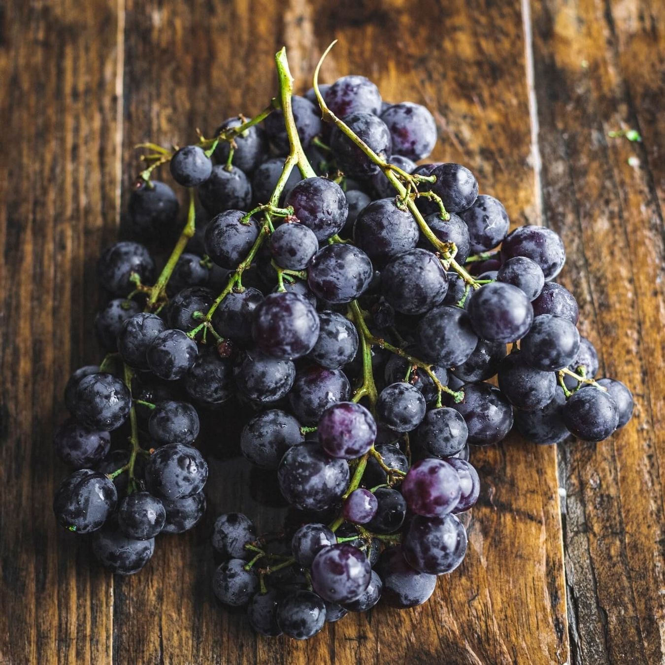 Vigne raisin sans pépins NIGHT BEAUTY ( PLANT ) (Neu (gemäss ...
