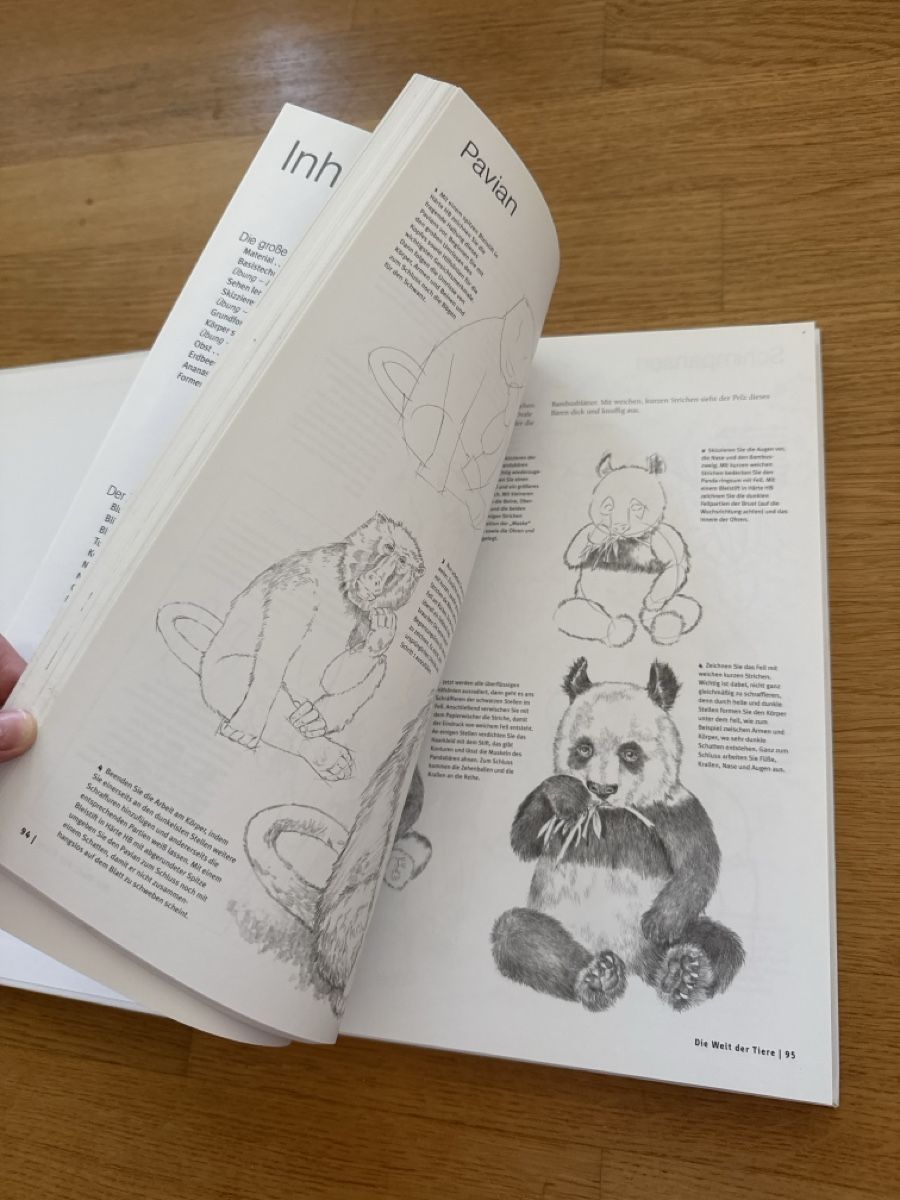 Libri: Die Kunst des Zeichnens – Nuovo (secondo la descrizione) da Allschwil venduto da ale_99l7 2