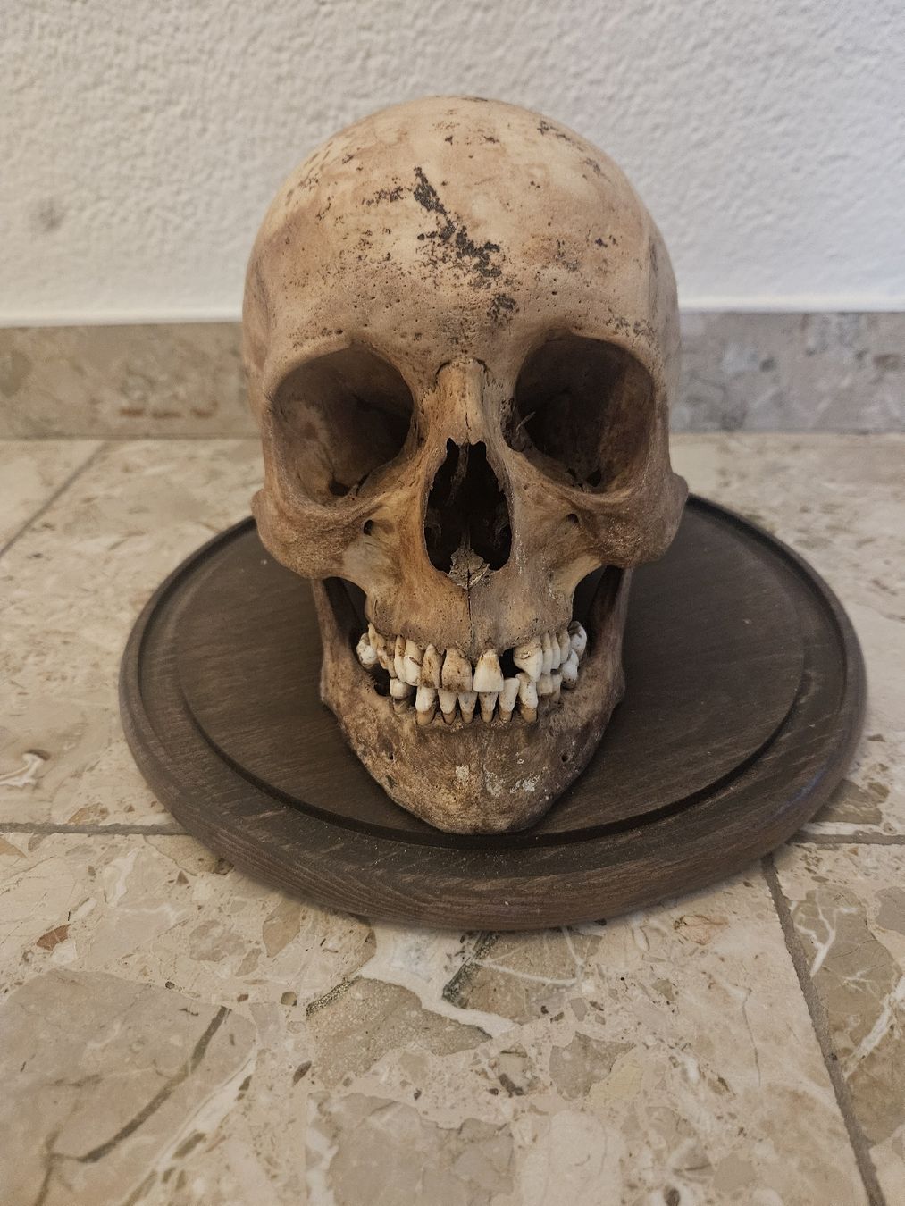 Sculture & Statue: Totenkopf – Usato da Zürich venduto da boginja