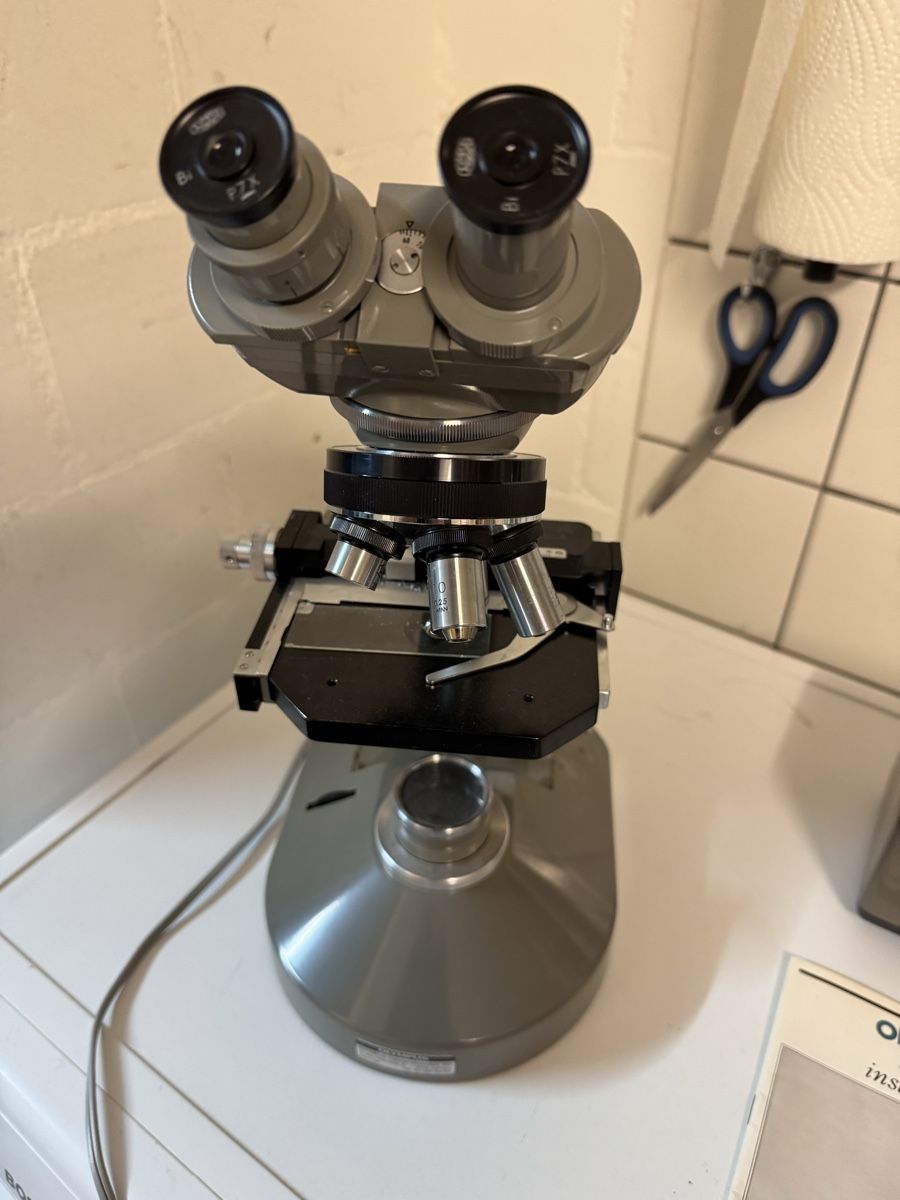 Olympus Microscopi: olympus eh mikroskop – Usato da Zunzgen venduto da milesdavis76 2