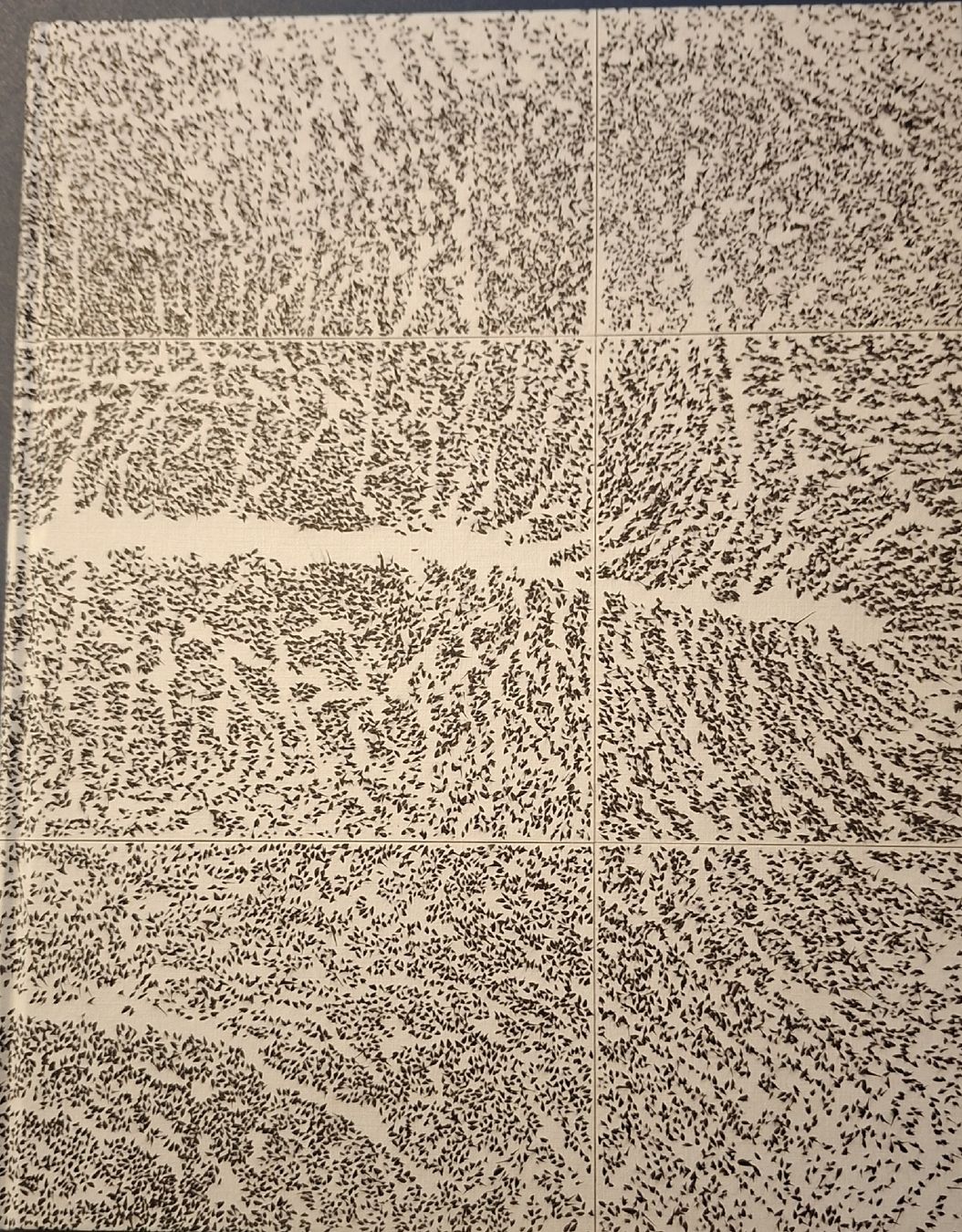 Bücher: Giuseppe Penone Buch Actes Sud Musee de Grenoble Buch – Neu (gemäss Beschreibung) aus Niederglatt ZH von Siegfried67