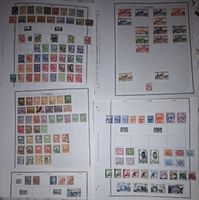Lot Tunesien
