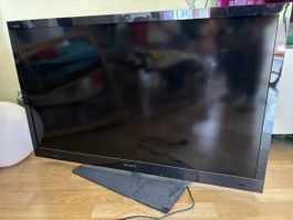 Fernseher Sony Bravia