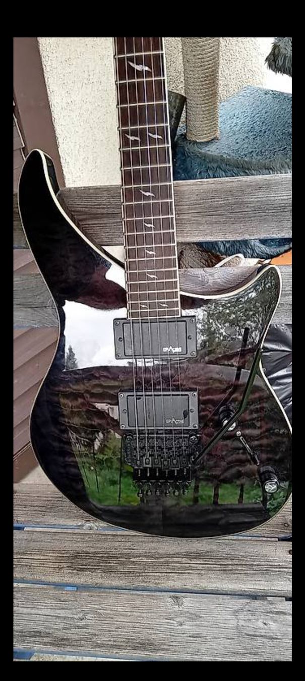 Epiphone Strumenti musicali: EPIPHONE EM-2 PROPHECY CUSTOM (AKTIV) – Usato da STAUFEN venduto da skullshredder