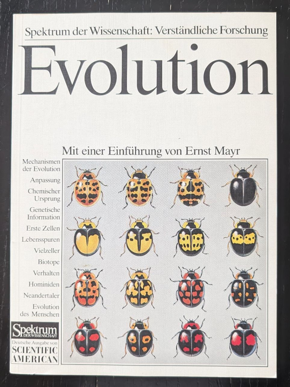 Livres: Spektrum der Wissenschaft: Evolution – D'occasion à Thalwil par sultan03