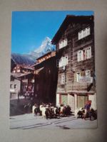 Zermatt Kirchplatz mit Geissen Ziegen Matterhorn