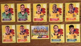 Panini Sticker WM 2026 - Ecuador