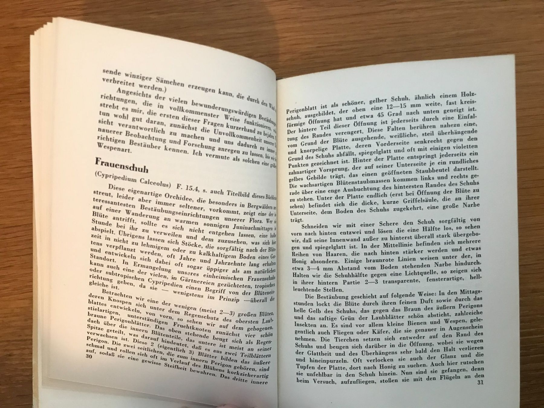 Libri: antikes Buch: Wunder der Blumenwelt – Usato da Luzern venduto da mey_s13 1