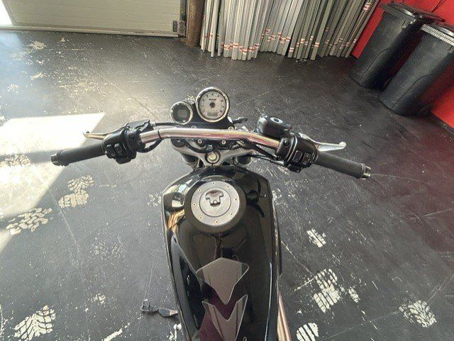 Harley-Davidson Strada: Harley Davidson XR 1200 – Usato da Morschach venduto da BioMueller 4
