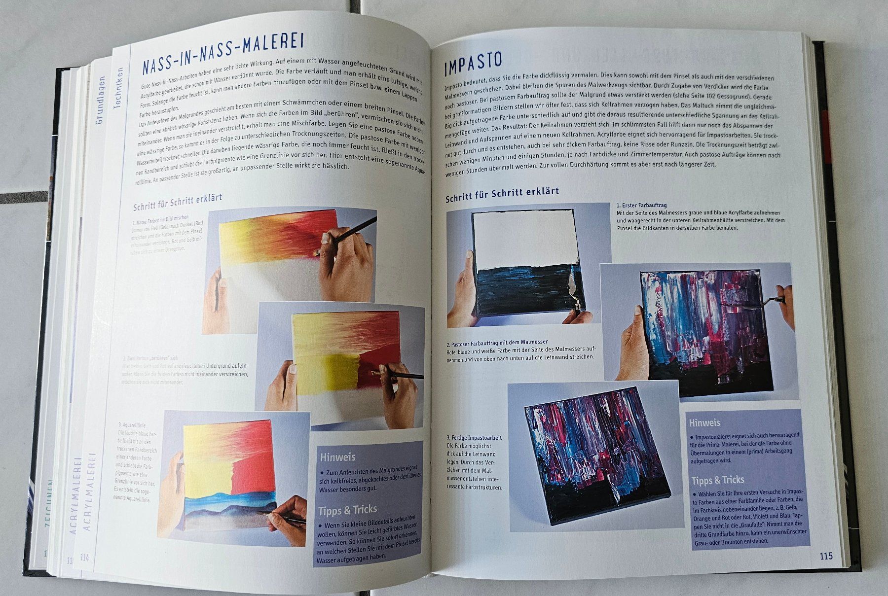 Libri: Die Grosse TOPP-Malschule, wichtigste Techniken,beste Motive – Nuovo (secondo la descrizione) da Witterswil venduto da Regus 5