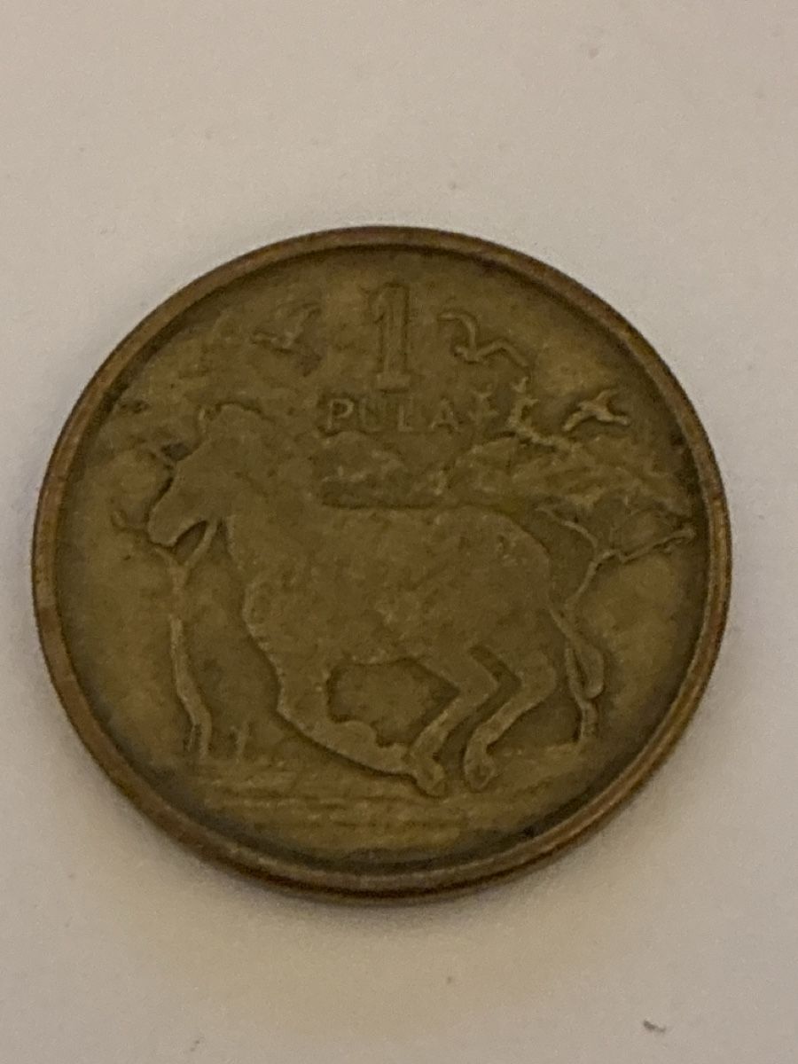 Tutti le monete: Nr. 18: 1 Pula, Botswana, 2013 – Usato da Burgdorf venduto da Yakari5165