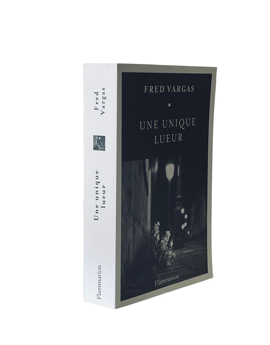 Bücher: Fred VARGAS "Une Unique Lueur" – Neu (gemäss Beschreibung) aus Genève von Bazarare 1