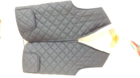 Gilet