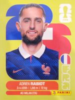 Panini FIFA World Cup FRA 12