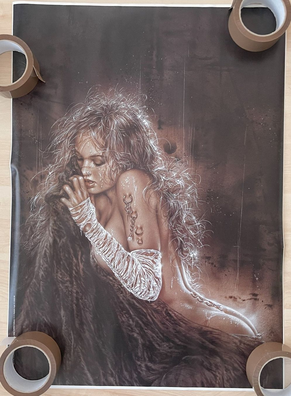 Foto & Immagini: Poster Luis Royo Nr. 14 - "Prohibited Book" – Nuovo (secondo la descrizione) da Oftringen venduto da Vucki 1