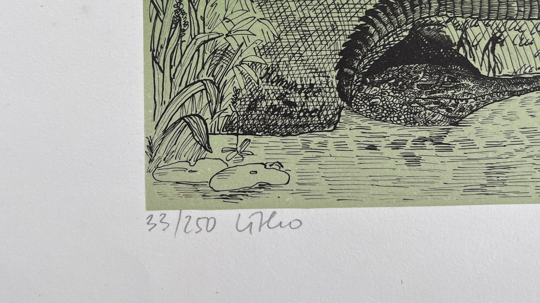 Grafiken & Lithographien: JÜRG FURRER LITHOGRAPHIE SIGNIERT NUMMERIERT – Gebraucht aus Gersau von grafik-kunst 3