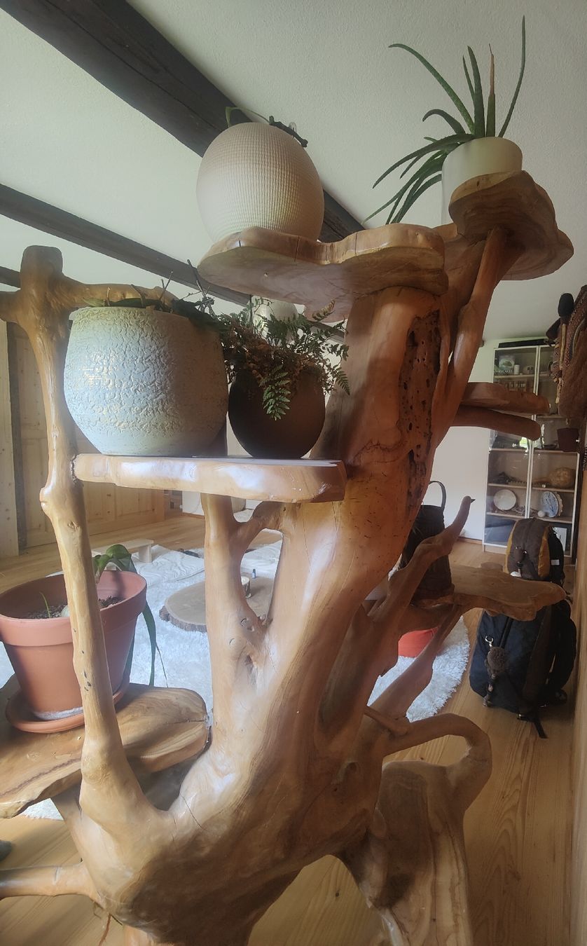 Scaffali: Olivenbaum Regal – Usato da Bauma venduto da ObrMar 4