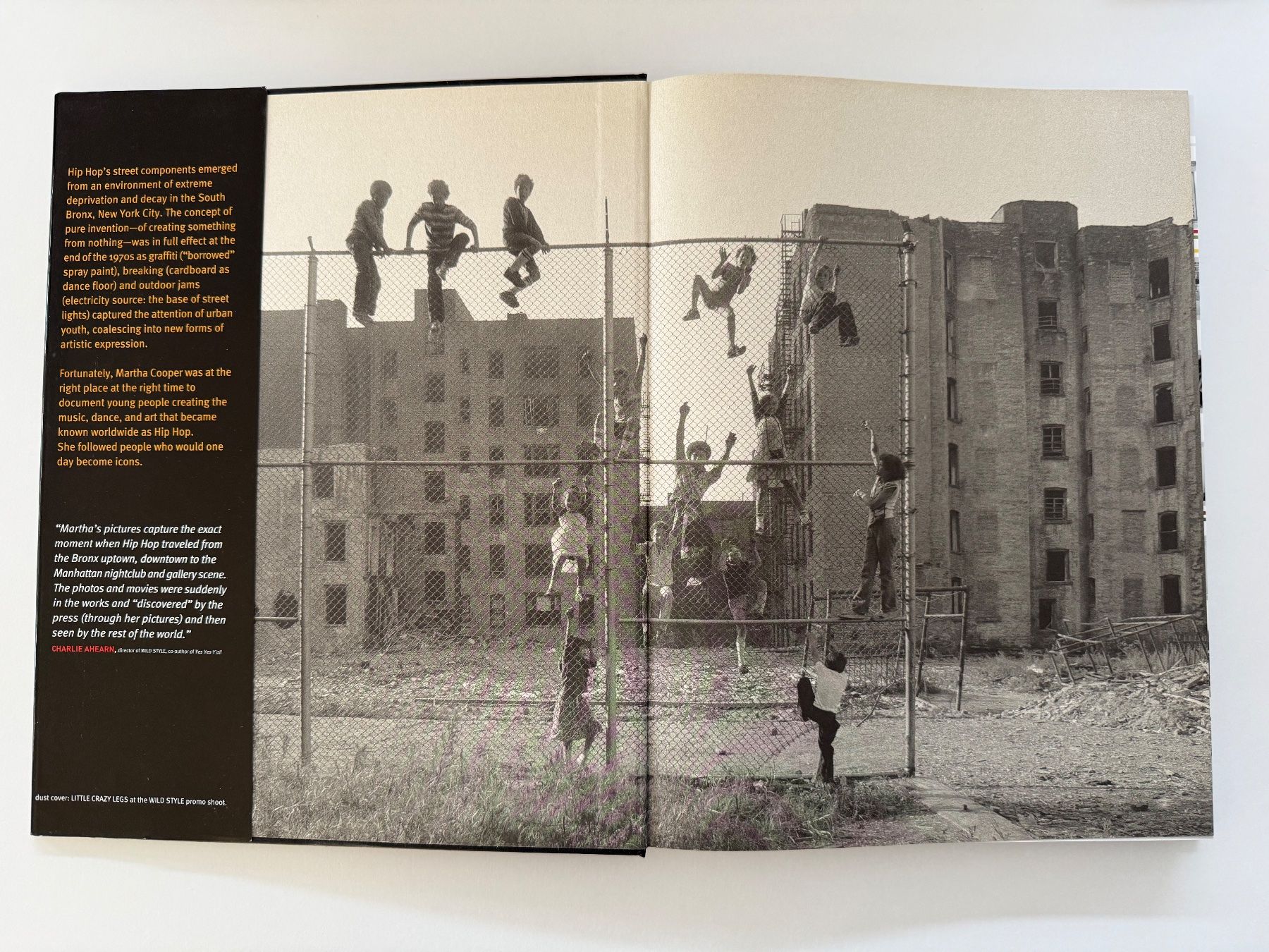 Libri: Martha Cooper Hip Hop Files Buch – Usato da Arlesheim venduto da shopalittle 4