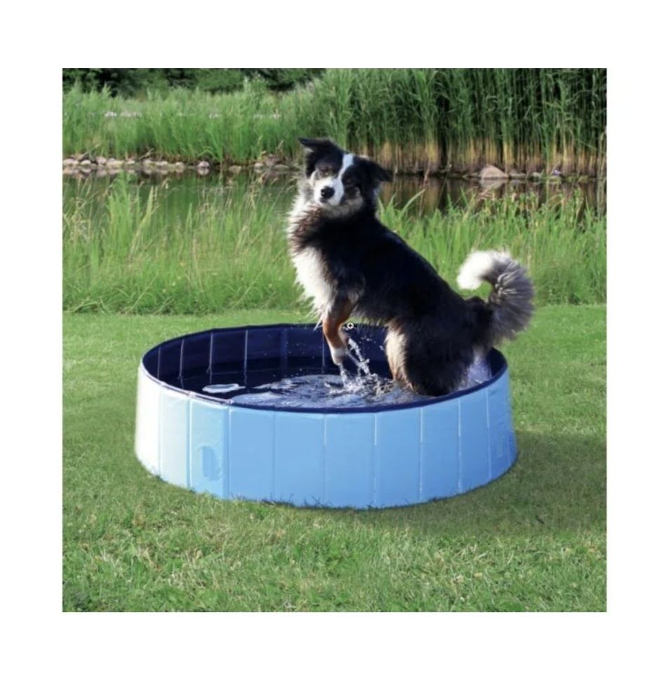 Piscine: Hundepool ø160cm – Nuovo (secondo la descrizione) da Brunnadern venduto da ginalaura92 1
