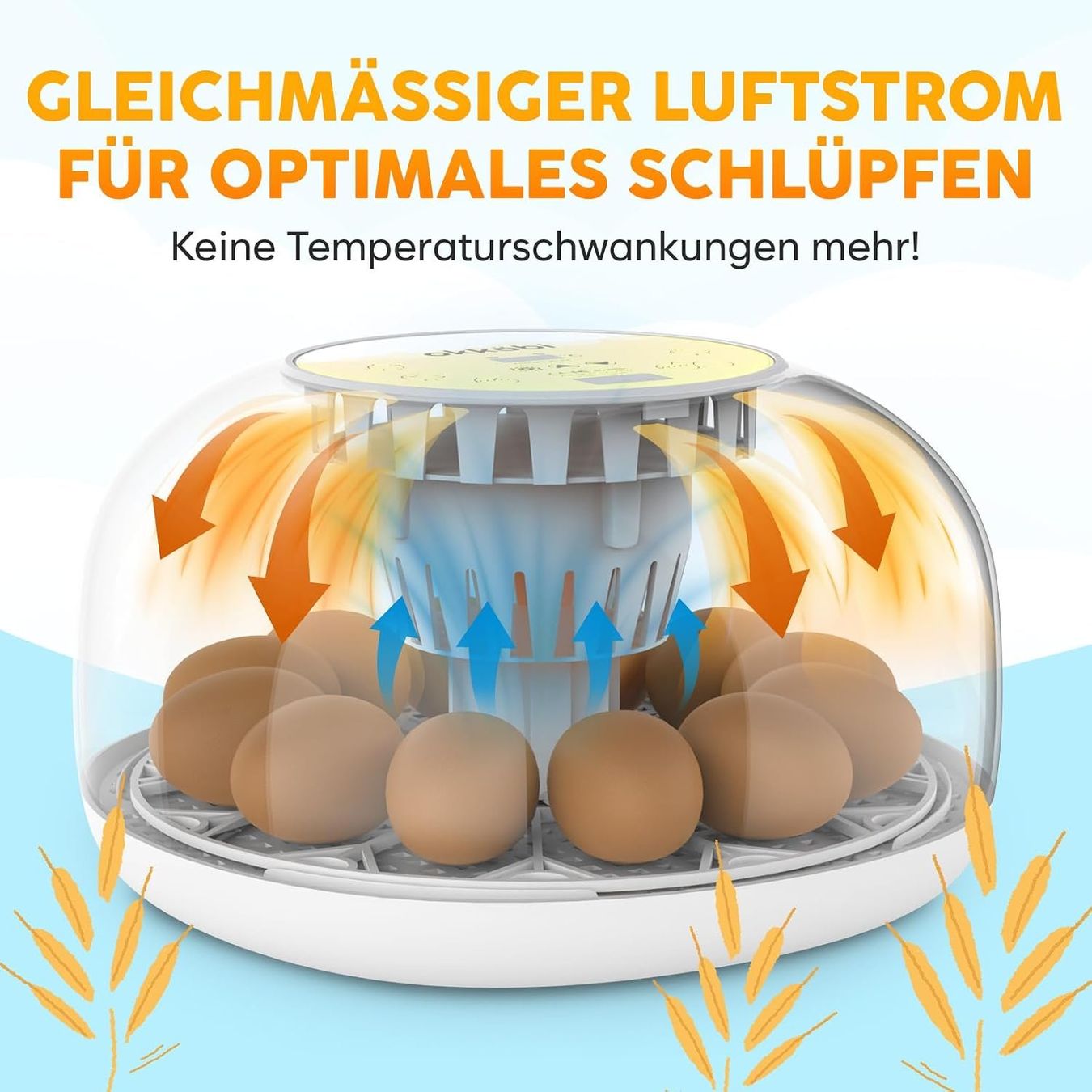Altro in Accessori per animali: Brutautomat Vollautomatisch Eier Wenden 12-24 Eier – Nuovo e nell'imballaggio originale da Schaffhausen venduto da Gipfelgut 6