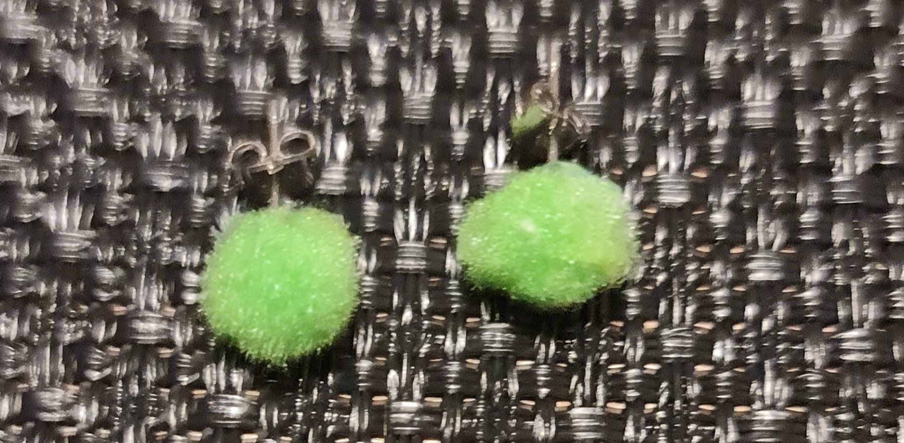 Orecchini pendenti & Orecchini a lobo: Handgemachte PomPom Ohrstecker – Nuovo e nell'imballaggio originale da Grafstal venduto da sel_yil 5