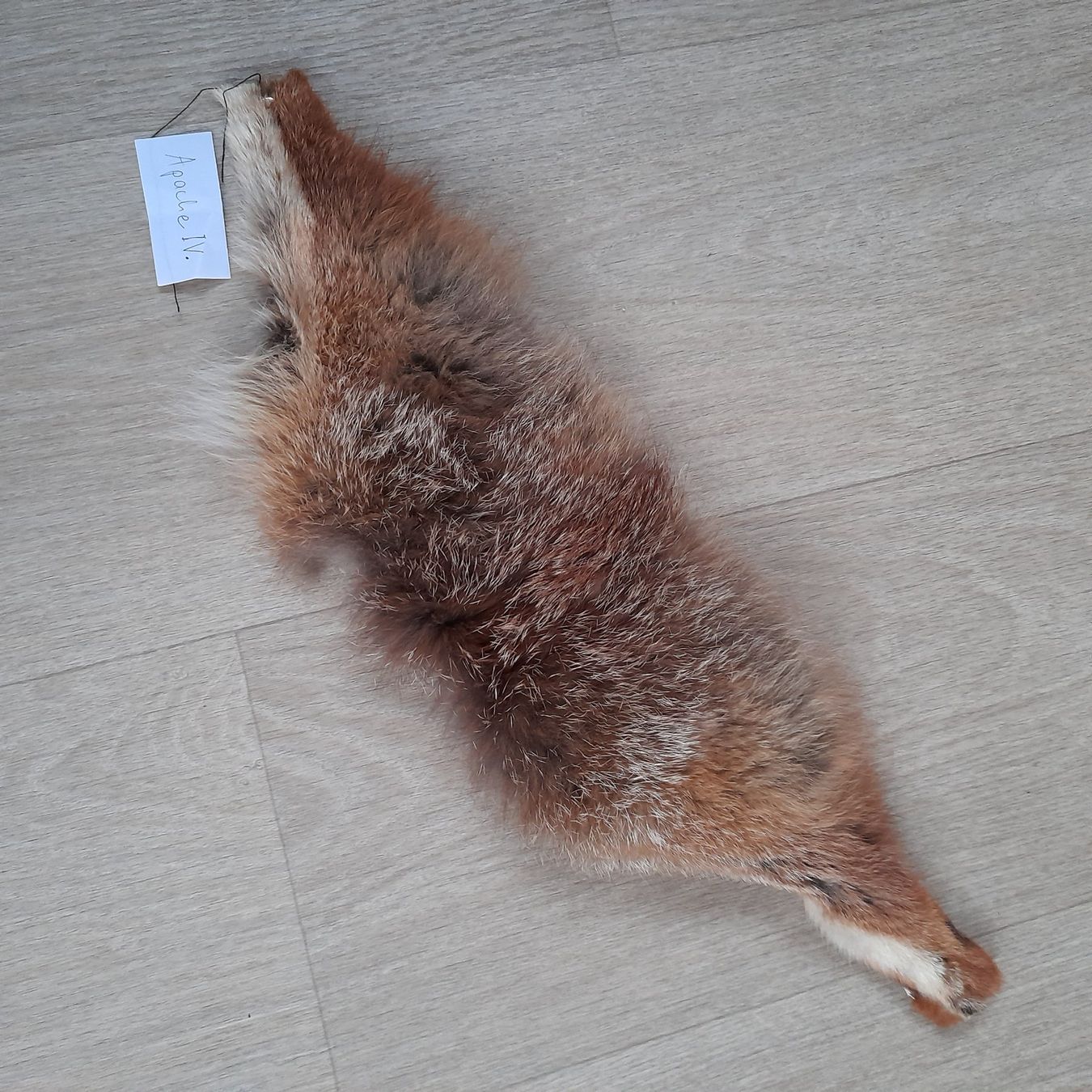 Altro in  Abbigliamento & Accessori: Echter Fuchs Pelz Wintermütze Apache Style – Nuovo (secondo la descrizione) da Eschenbach SG venduto da Dugi1959 3