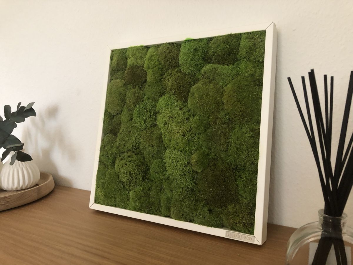 Toutes les décorations: Moosbild 35x35cm – Neuf (Voir description) à Zürich par vadimi 1