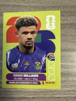 PANINI Fifa RSA 2