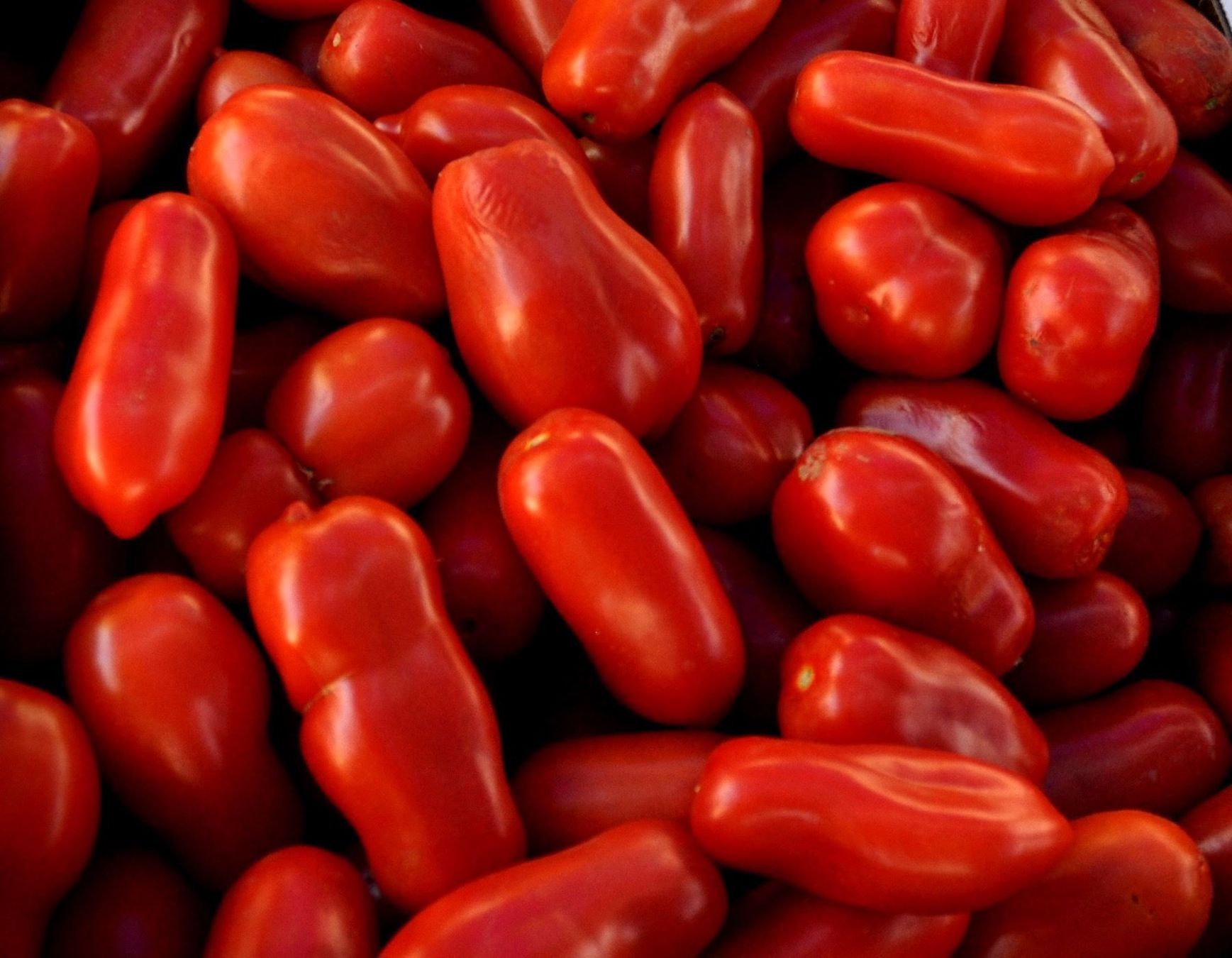 Piante & sementi: 50 Samen Tomate SAN MARZANO Alte Sorte IT – Nuovo (secondo la descrizione) da Ehrendingen venduto da VerveinaSamen 6
