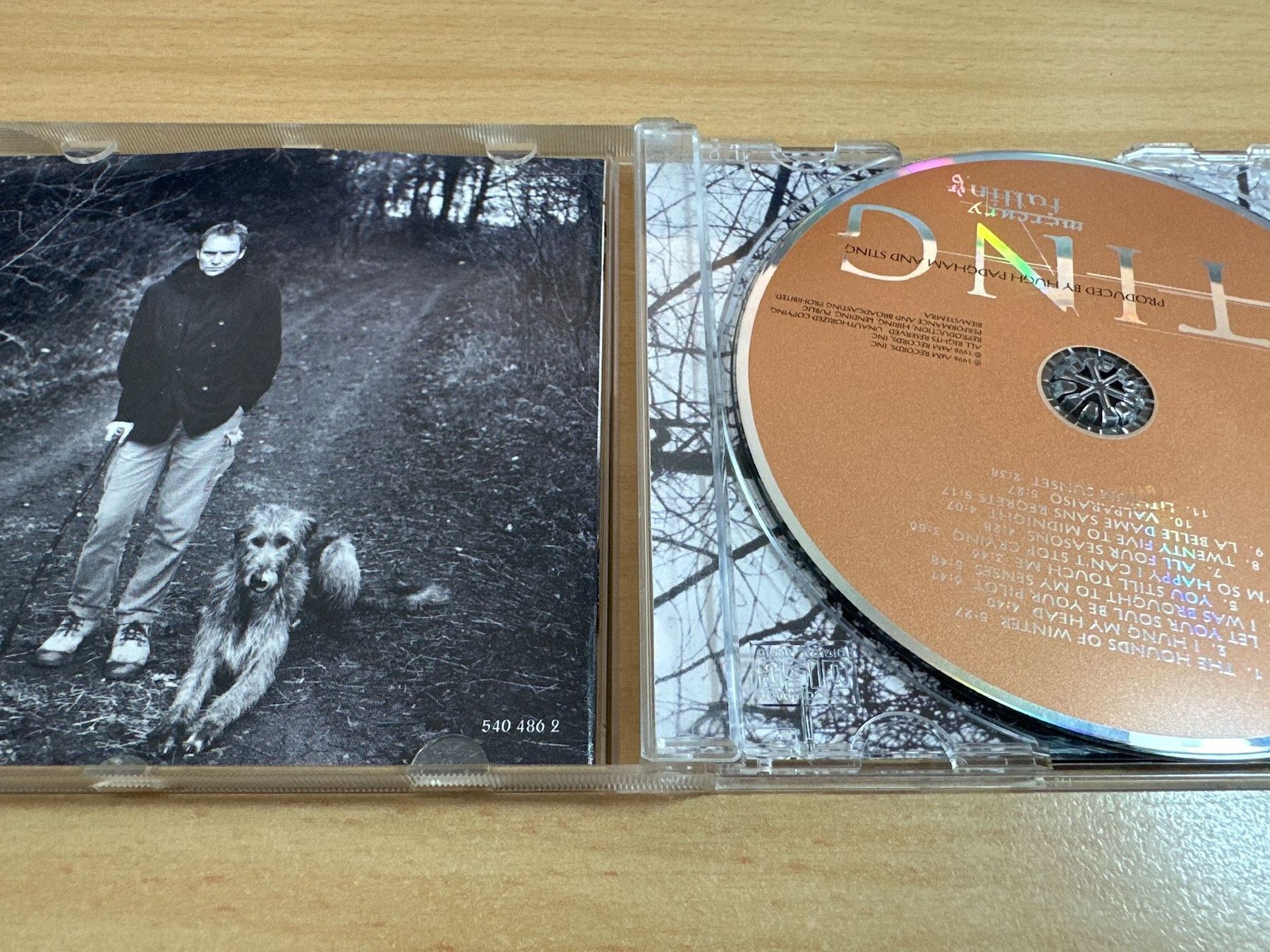 CD: Sting – Mercury Falling – Usato da Rikon im Tösstal venduto da Alpenmutz 2