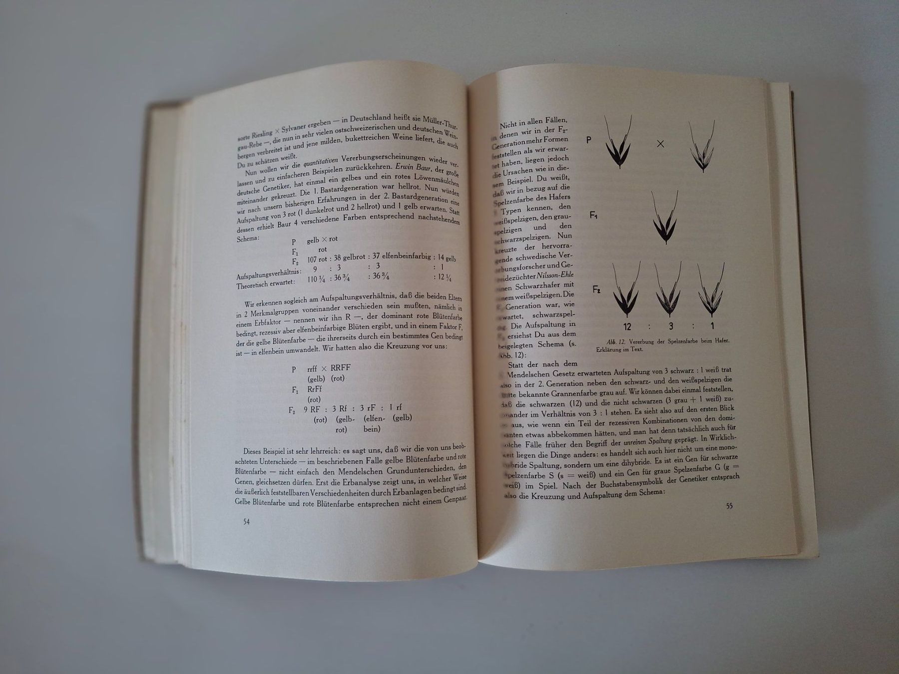 Libri: Vererbung und Leben – Usato da Reichenburg venduto da AK307 3