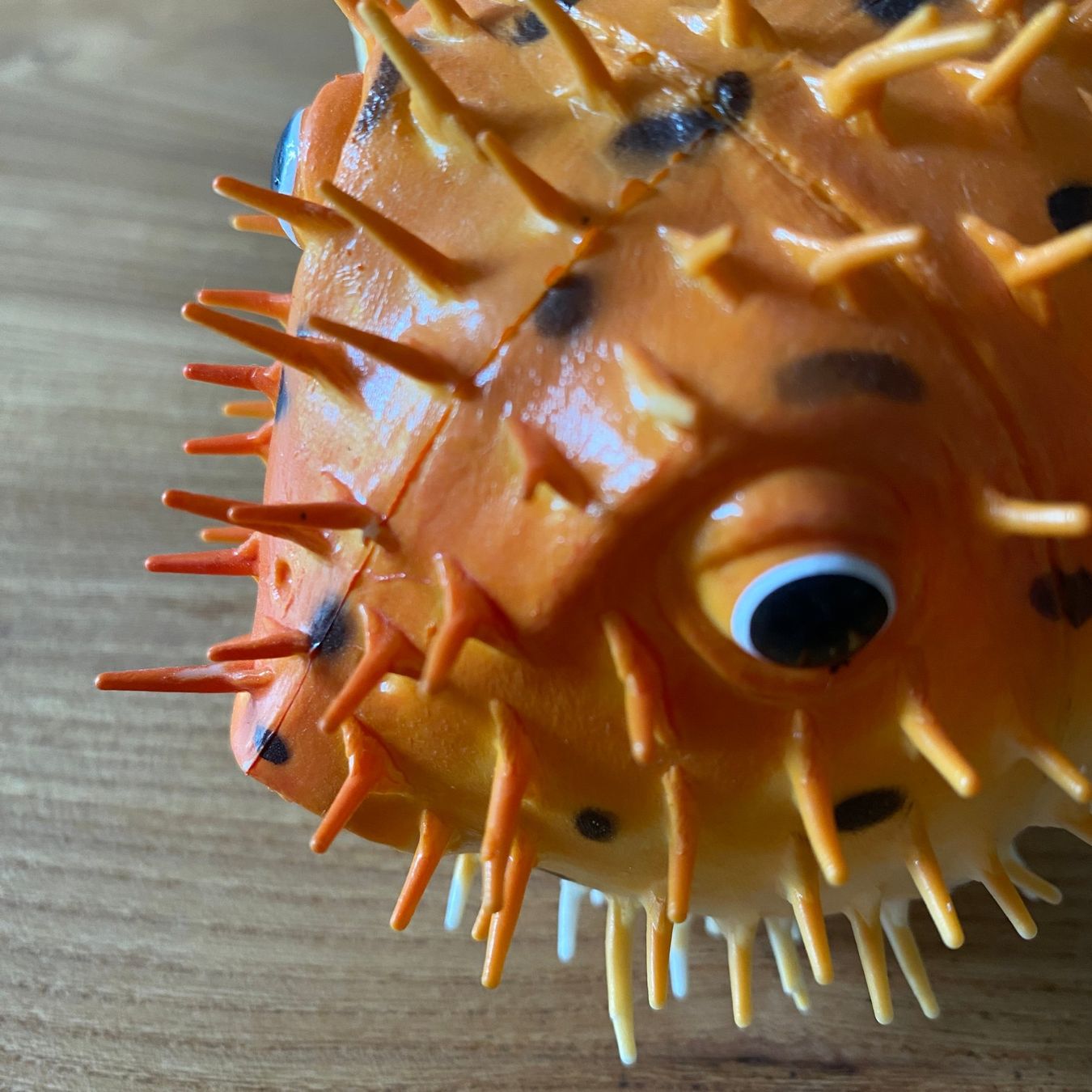 Tutte le decorazioni: Kugelfisch aus Plastik – Usato da Kastanienbaum venduto da Niara2 1