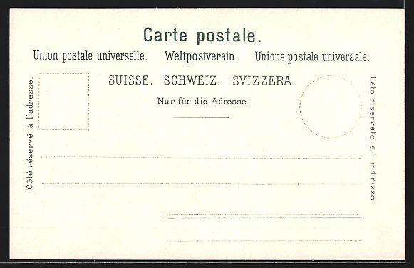 Cartoline postali: Spiez am Thunersee, Blick auf das Schlos – Usato da Berlin venduto da bartko-reher 1