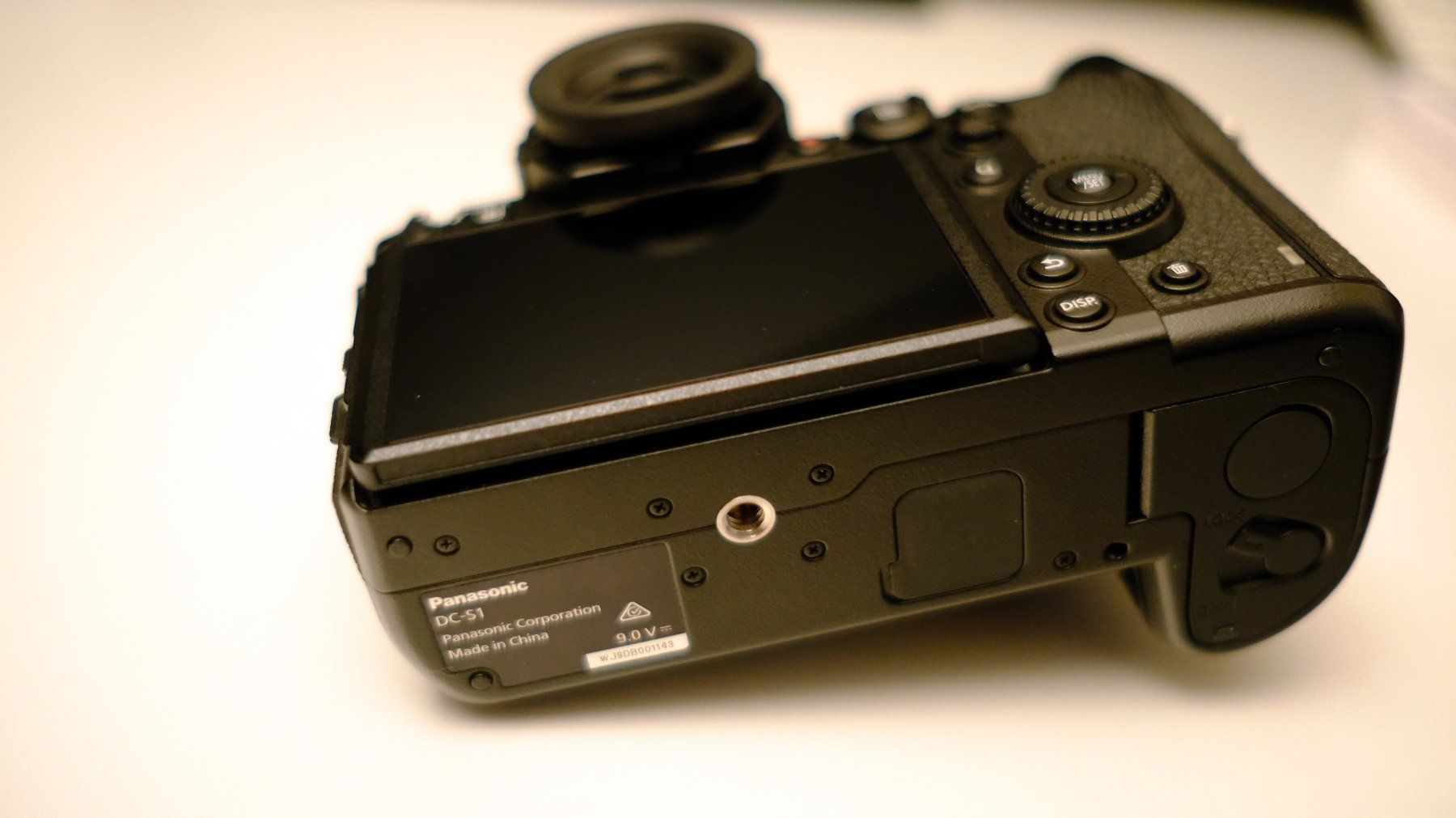 Panasonic Fotocamera: Lumix S1 mit Batteriegriff DMW-BGS1 – Usato da Unterengstringen venduto da simonwidmer 2