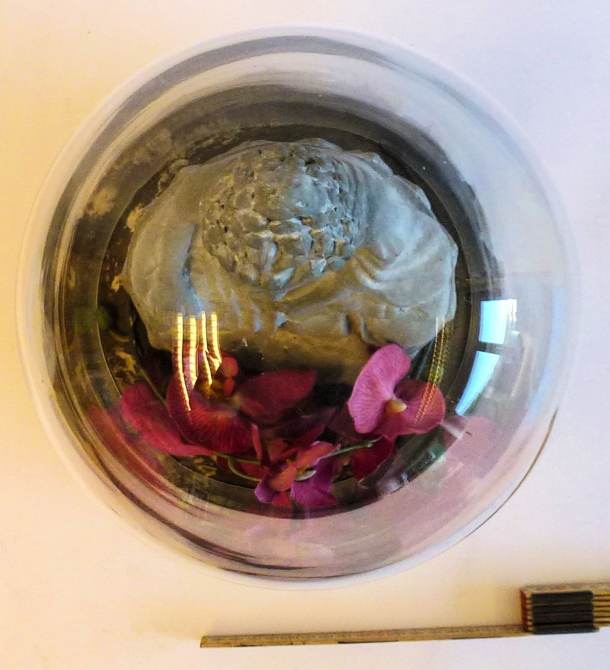 Sculture & Statue: Buddha unter Glas-Kuppel – Usato da Murgenthal venduto da B.StM 2