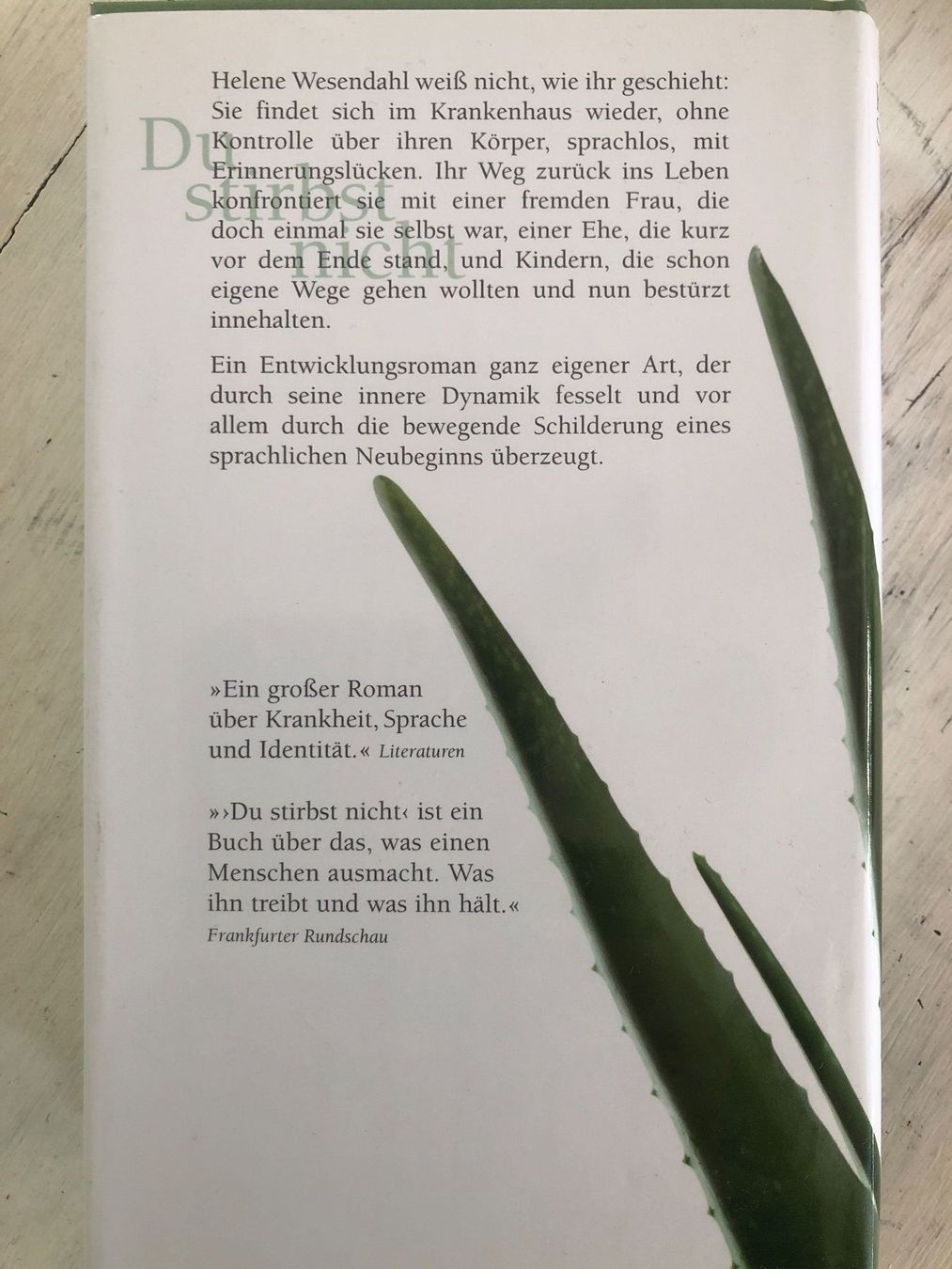 Libri: Kathrin Schmidt: Du stirbst nicht – Usato da Schliern b. Köniz venduto da Corinu59 1