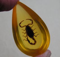 ♥ SKORPION IN KUNSTHARZ / CABOCHON - ZUM SELBER GESTALTEN