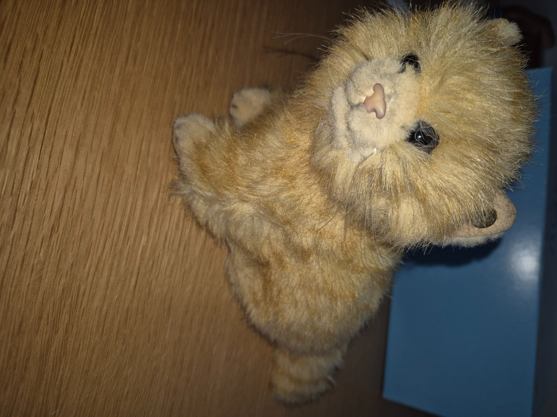 Figurines: Steiff Plüsch Katze – D'occasion à Buttikon SZ par sefa02 4