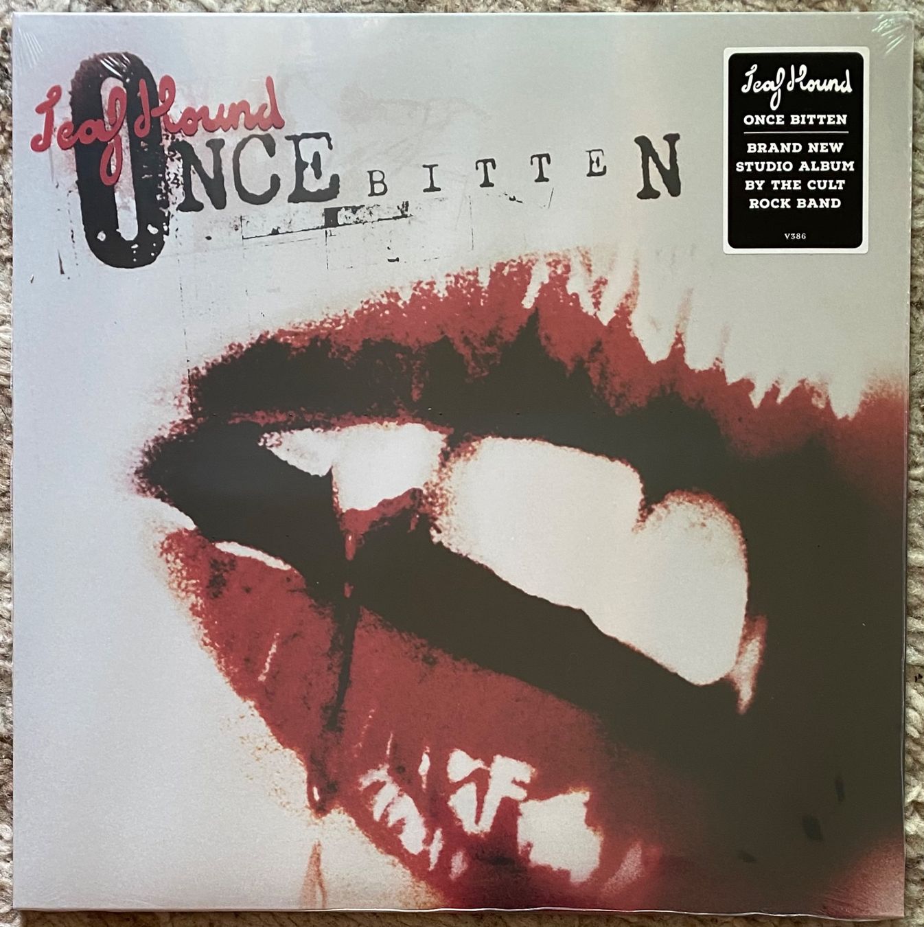 Dischi in vinile: Leaf Hound - Once Bitten LP 2024 NEU/OVP – Nuovo e nell'imballaggio originale da Forch venduto da xtcpiemont