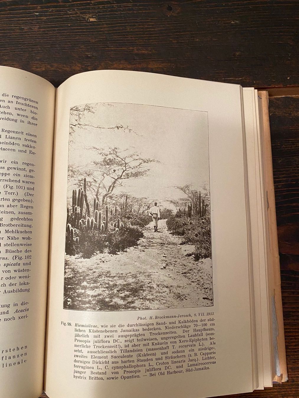 Libri: Pflanzengesellschaften der Erde (Buch) – Usato da Zürich venduto da 2013tg 5