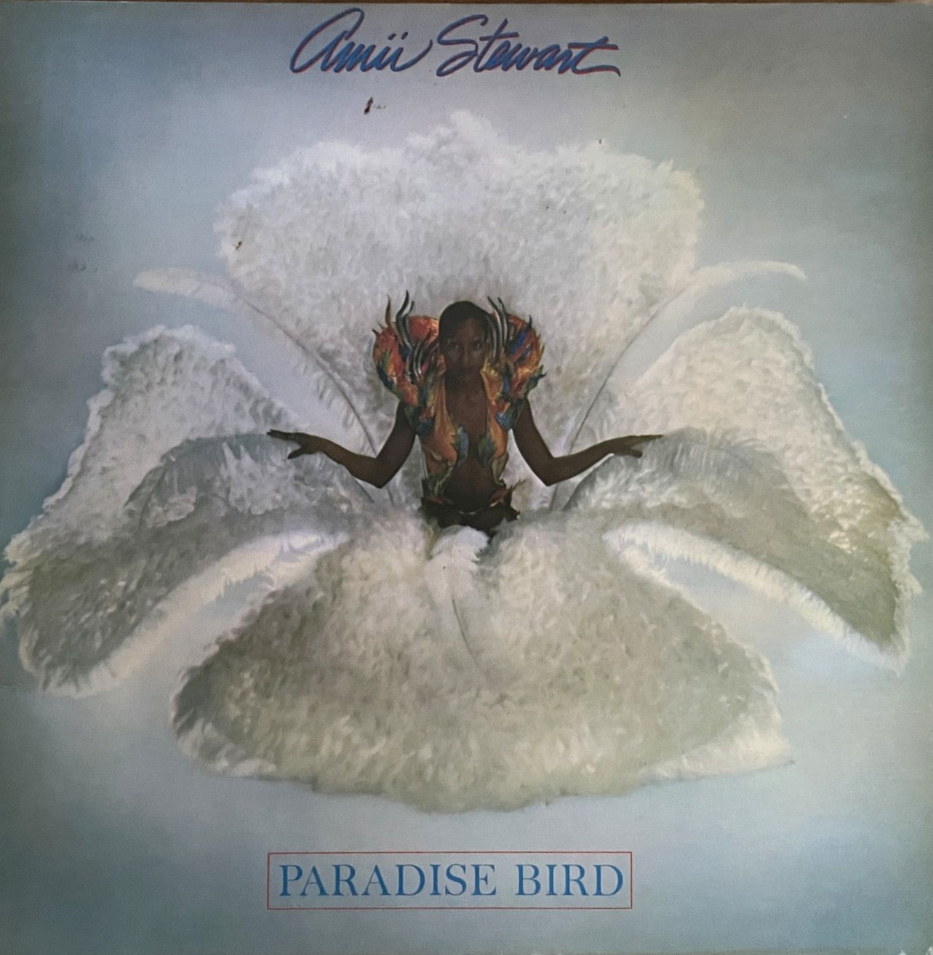 Schallplatten: Amii Stewart - Paradise Bird – Gebraucht aus Savagnier von Ne2065