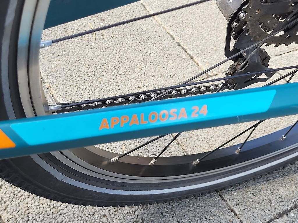 Velos: Kindervelo 24 Zoll Mustang  – Gebraucht aus Gränichen von Annika303 3